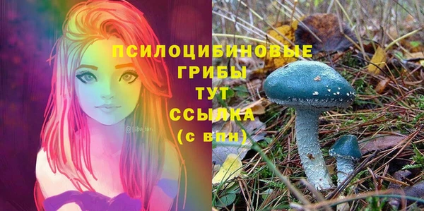 ECSTASY Балахна