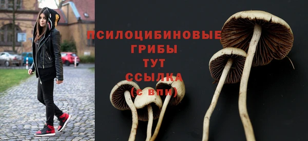не бодяженный Баксан