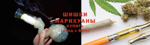 сатива Балабаново