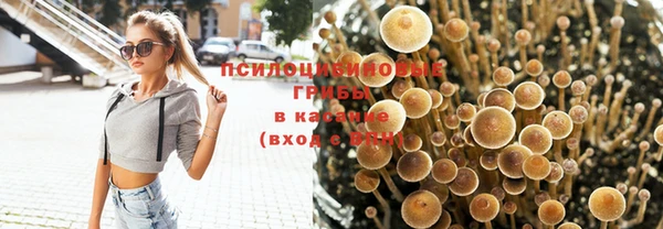 ECSTASY Балахна
