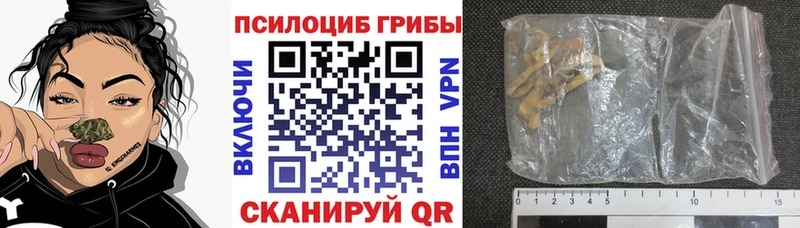 площадка состав Корсаков Галлюциногенные грибы Psilocybine cubensis купить наркотики сайты